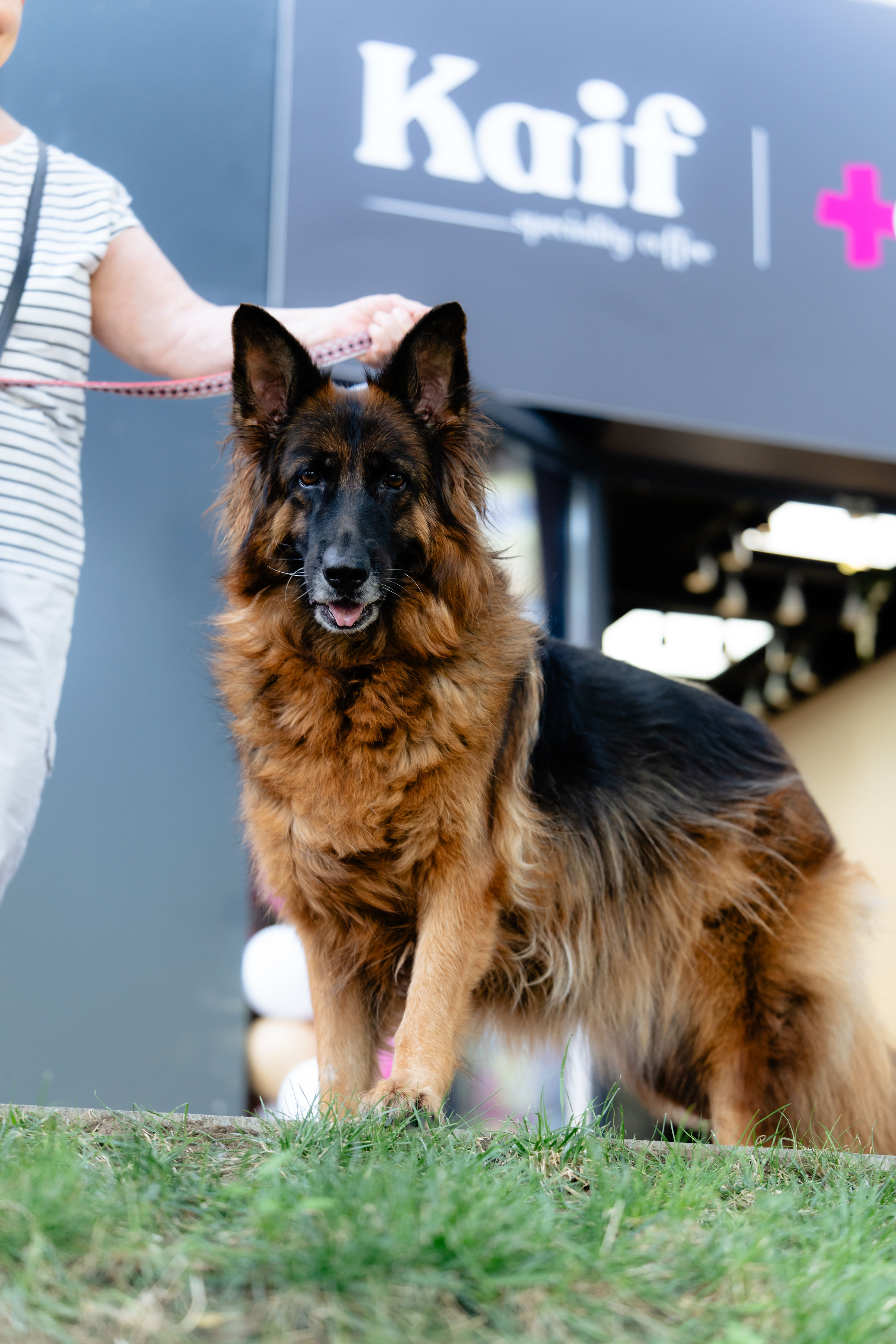 KAIF Coffee București fotografie 7